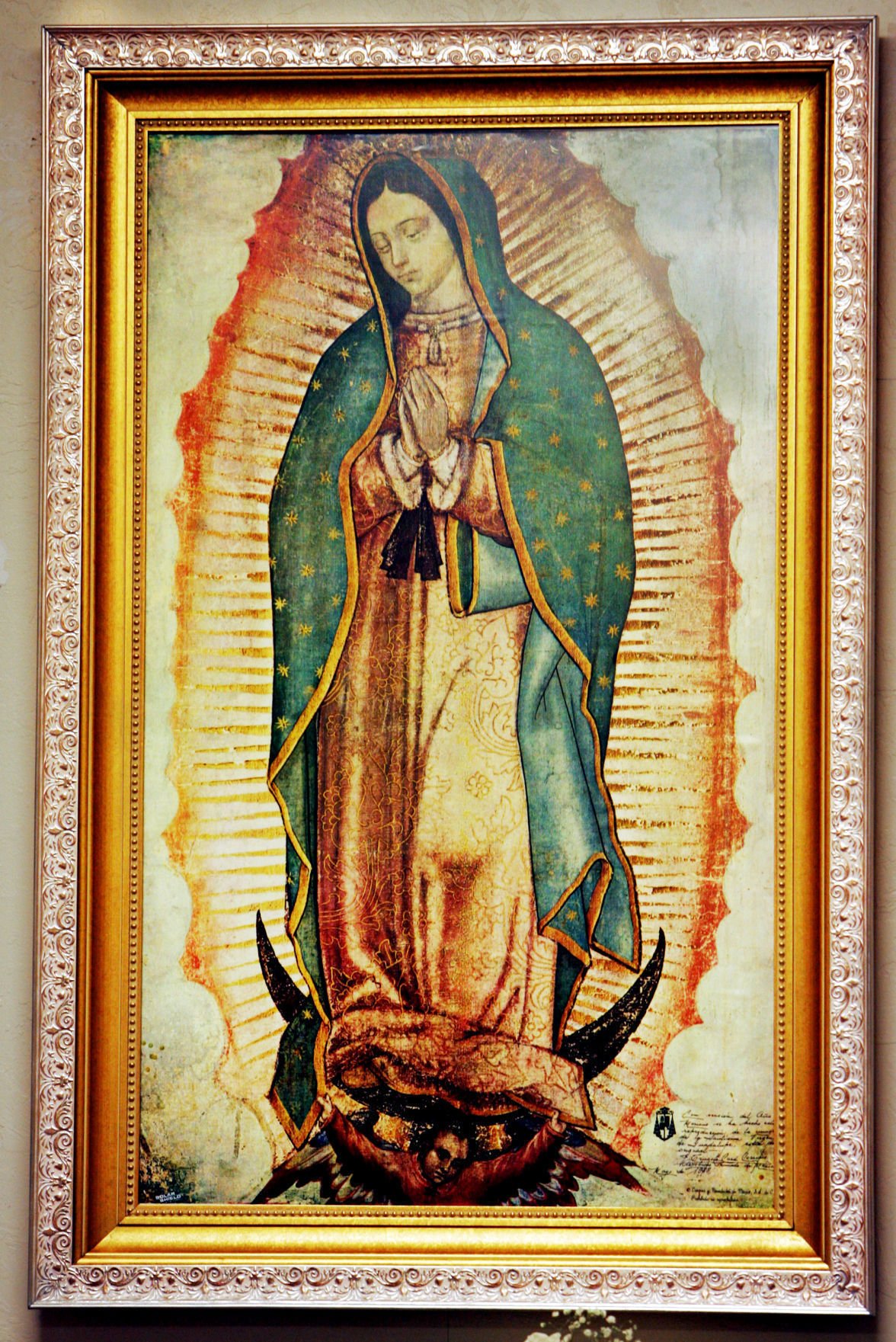 Virgin of Guadalupe common image